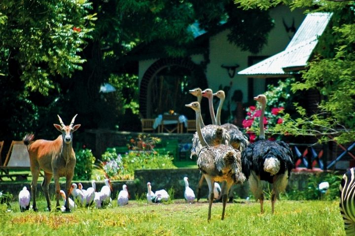 Mount Meru Game Lodge