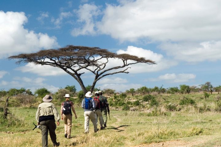 Tanzania Safari (2)