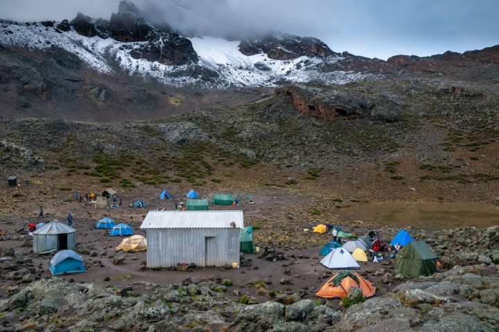 kilimanjaro rongai